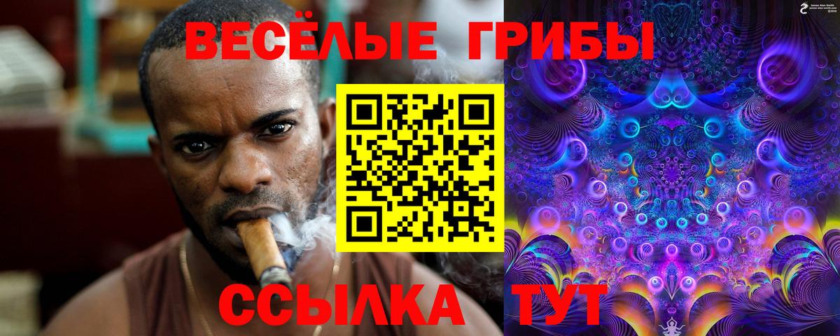 Дмитров  Галлюциногенные грибы Psilocybine cubensis  купить закладку  Вход с VPN 