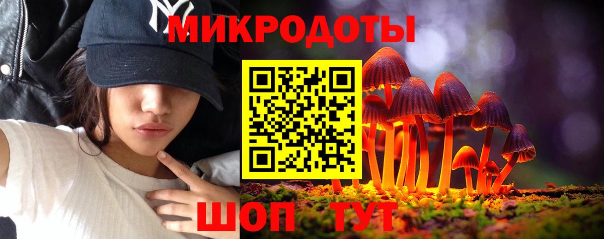 Галлюциногенные грибы Magic Shrooms Дмитров